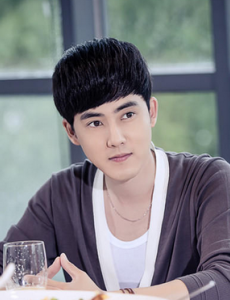 爱的阶梯第33集预告 罗珊色诱张皓天 罗珊楚振华婚外情曝光