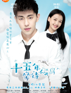 十五年等待候鸟柳叔叔是因为美晴才离婚的吗？柳千仁误会了他们吗？