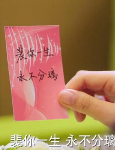 十五年等待候鸟 大结局预告 黎璃隐瞒裴尚轩接受治疗