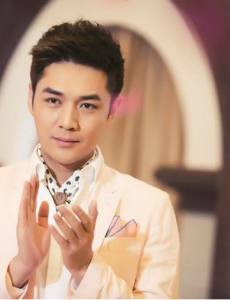 爱的阶梯何雅为什么接近宋子杨？何雅和宋子杨有什么恩怨？何雅的目的是什么？