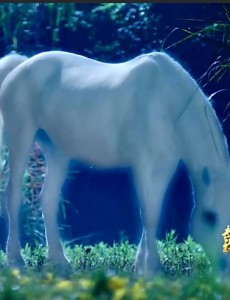 武神赵子龙第6集出现的白马是赵子龙的坐骑吗？历史中赵子龙的坐骑叫什么？有怎样的故事？