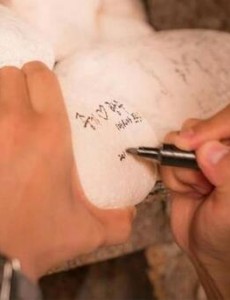 太阳的后裔柳时镇在石头上写的什么？有什么特殊意义吗？