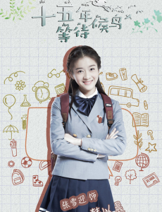 《十五年等待候鸟》“校花”韩以晨的结局是什么？ 她和谁在一起了？