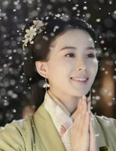 剖析女医明妃传中爱一人用一世不自知的详细见解——谭允贤篇