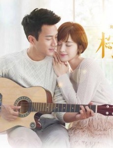 柠檬初上“夏之旋”海报曝光 “维C夫妇”虐狗式秀甜蜜