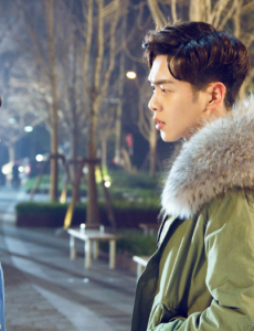 十五年等待候鸟苏苏的扮演者郑合惠子是日本人吗？苏苏的扮演者郑合惠子个人资料介绍及写真生活照欣赏