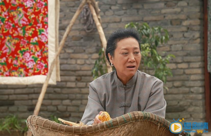 俺娘田小草剧照