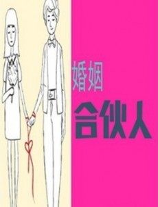 婚姻合伙人
