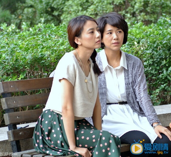 电视剧职场是个技术活剧照